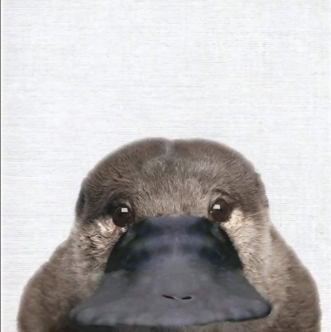 orineoguri0796 - 크리에이터 | 로블독