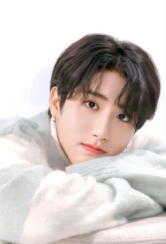 pop - 크리에이터 | 로블독