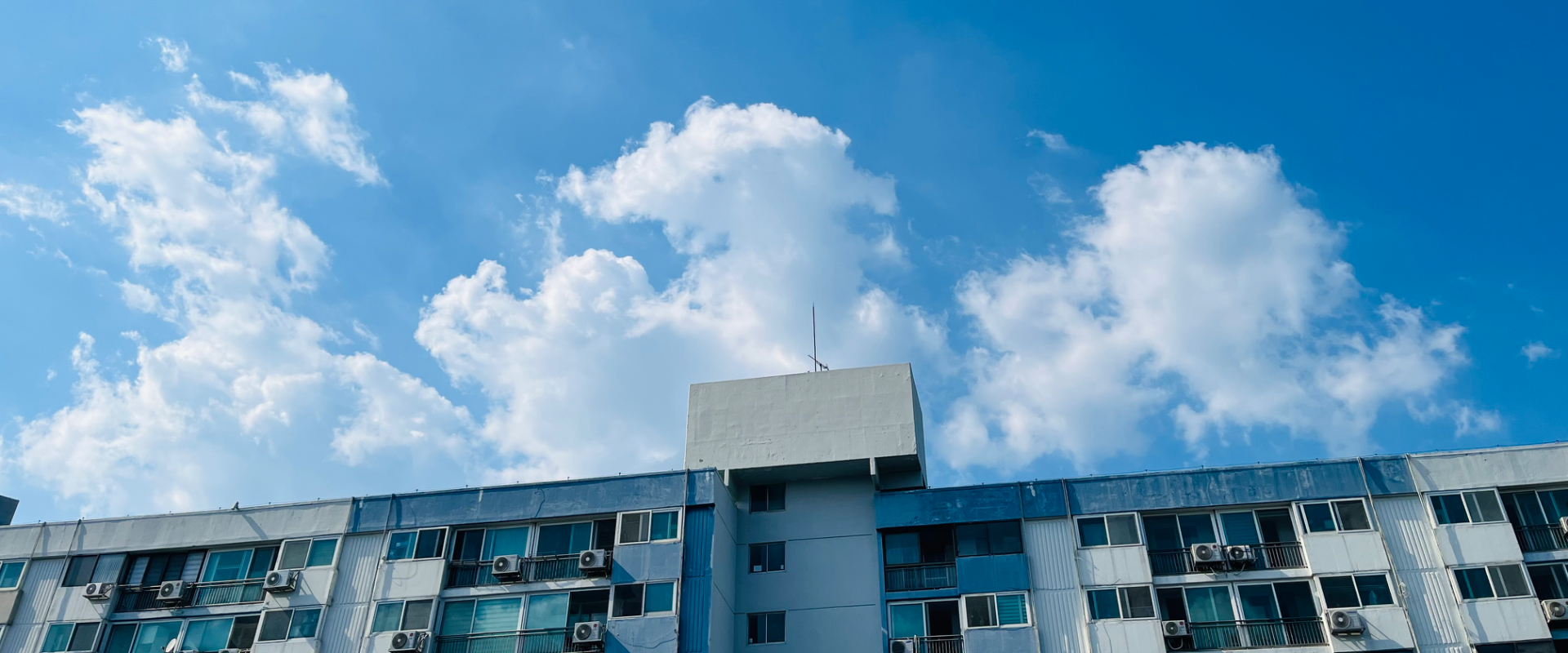 6974 - 크리에이터 | 로블독