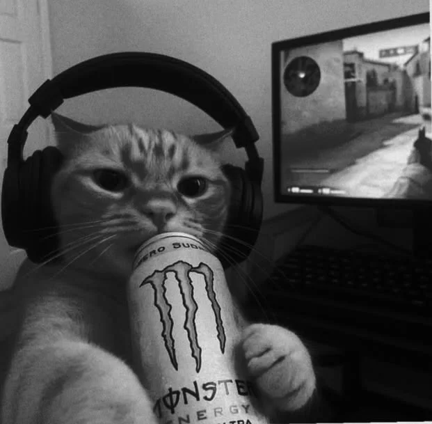 Redbull Studio - 그룹 | 로블독